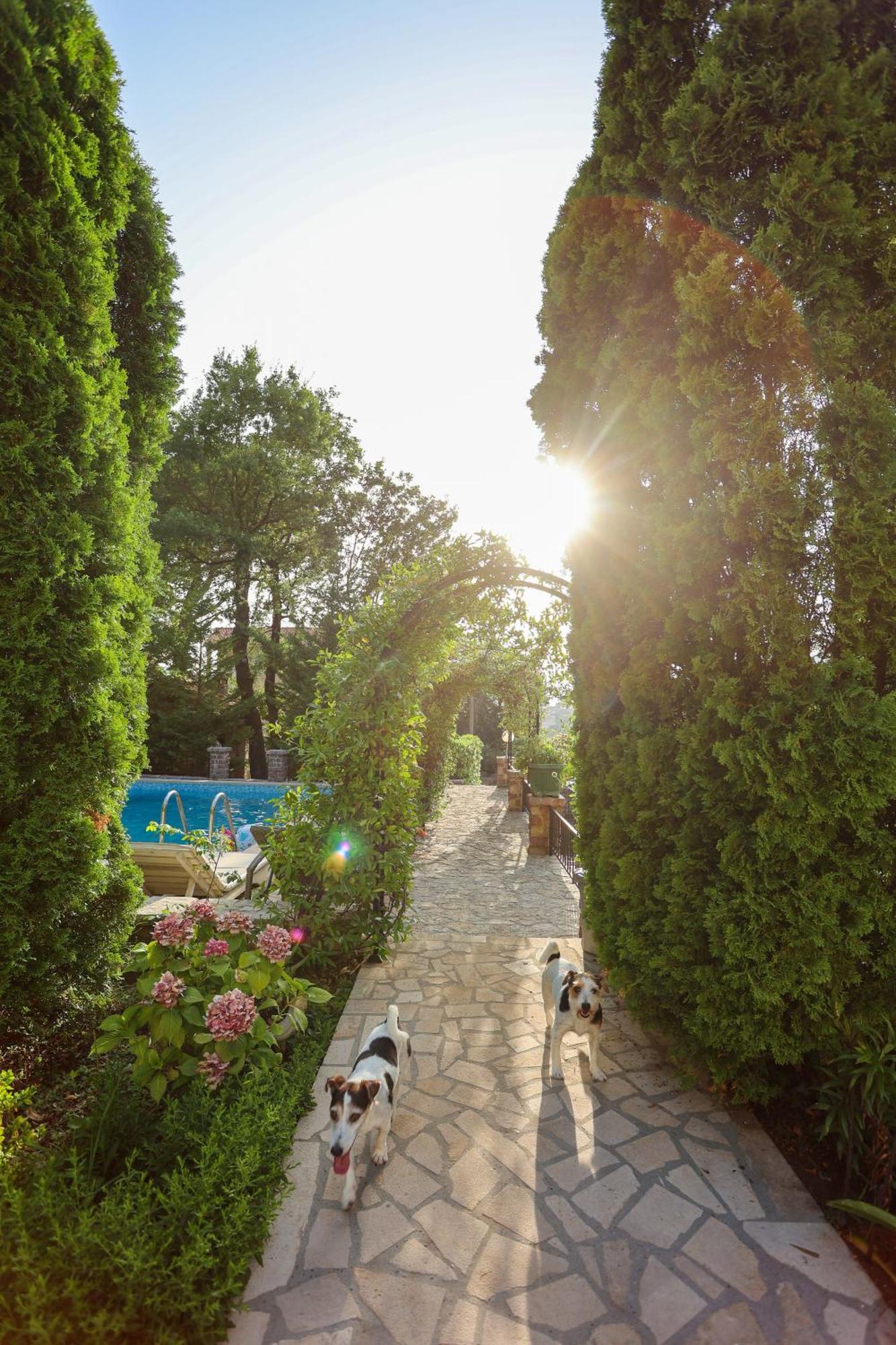 Villa Besha Херцег Нови Екстериор снимка